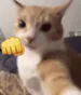 Golililililix
