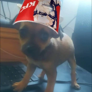 Pandelkfc