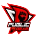 publicbear