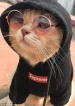 joshe_28