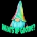 Gnomeemyhomie