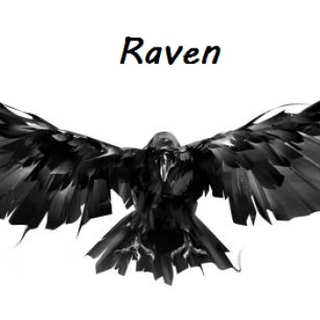 RavenD898