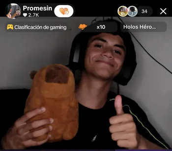 17Promesin