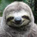 gryzu