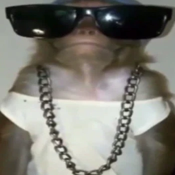 MonoGamer1