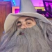 Elferreterogamer