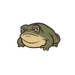meeptoad