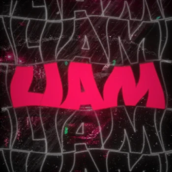 313Liamm