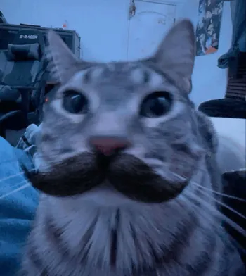 ad18a85d-b4d5-483c-aec3-adc9a7ffc14d