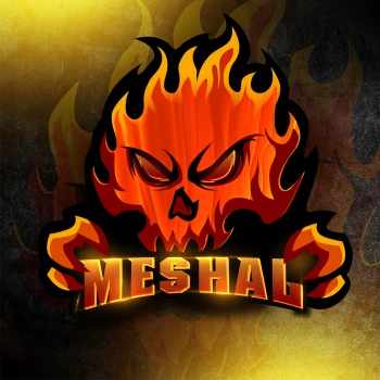 MSH3AL_01