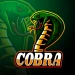 Kiing_Cobra