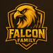 Falcon1up