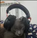 abd_elh4mid