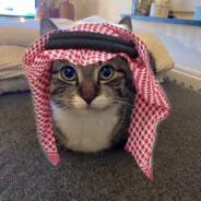 Aboutokum