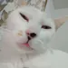 MR_DETO