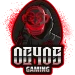 OG405Gaming