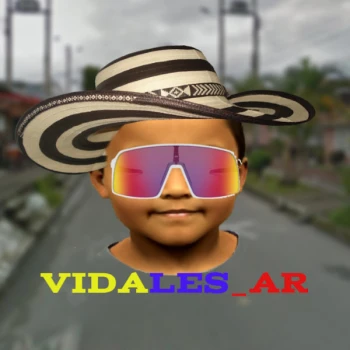 Vidales_AR