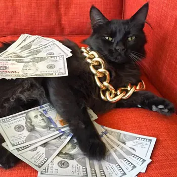 ChetitoBJ