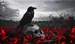 TheFiend_LMI Kick Profile Picture