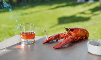 LobsterFactsTV
