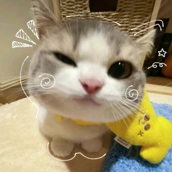 zyy8o