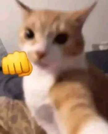 Nacho_zt