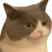 iankss