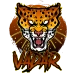 VadarPlays