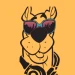 scoobydootv