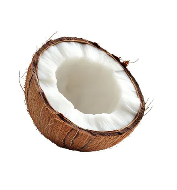 kokosak71