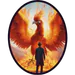 Firebird2270
