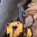 OMGBEES