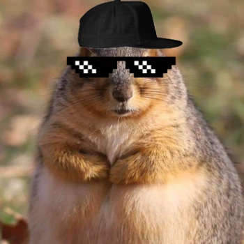 ChunksterChunkus