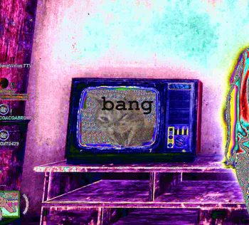bangVision