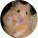 saulo_7