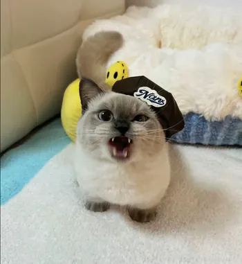 WOLSXX