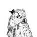 EternalOwl
