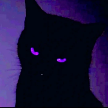 r0gatyy0