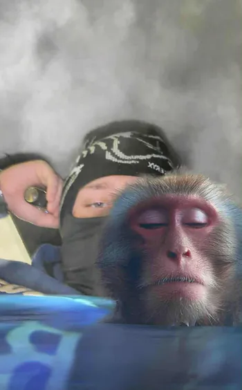 GONIECc
