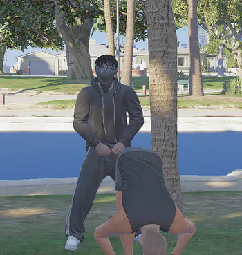 emerse_1