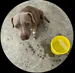 Marito_z