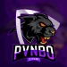 Pvnb0