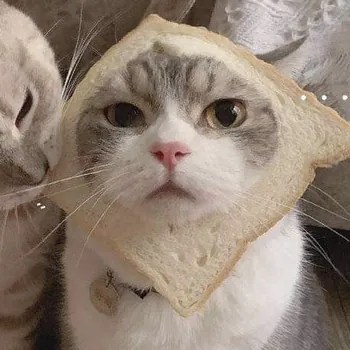 bagelbutter