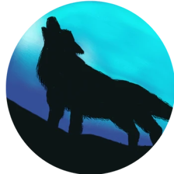Kick profile picture for @livecam