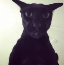 LorekTv