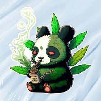 Kick profile picture for @iwubster