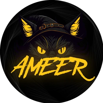 Ameer_FJ
