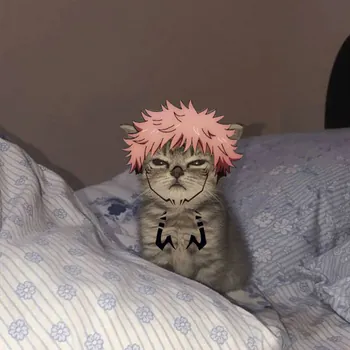 Hi_im_kivi
