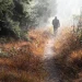 Narrow_Way