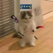 NeoBlkn